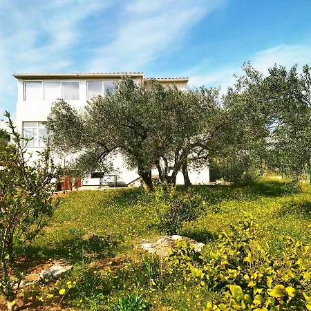 Apartamento Ii